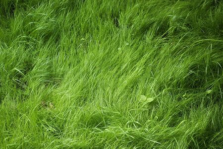 Backgroundの写真素材