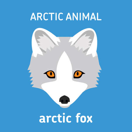 Head of arctic fox illustration in blue background.のイラスト素材