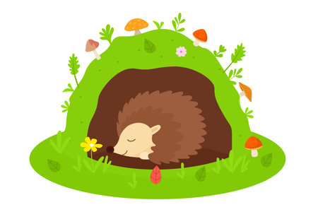 Hedgehog in the Burrow. vector cartoon flat illustrationのイラスト素材