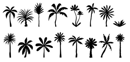 Vector set of tropical palm and tree silhouettes. Doodle illustrationのイラスト素材