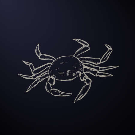 Vintage sea background. Hand drawn sketch seafood vector illustration of crabのイラスト素材