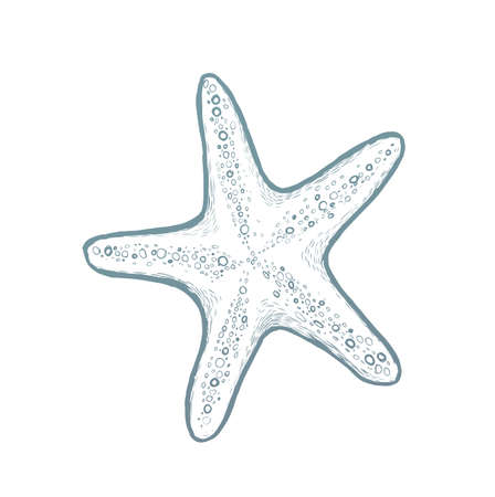 Hand drawn starfish isolated background. Vintage background with engraving elements at sea. Vector illustration.のイラスト素材