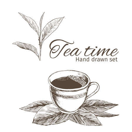 Sketch tea set.Hand drawn vintage illustrationsのイラスト素材