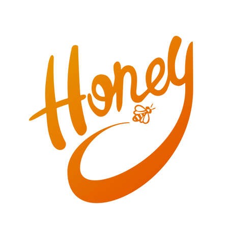 Sketch honey set. Hand drawn vintage illustrations.のイラスト素材