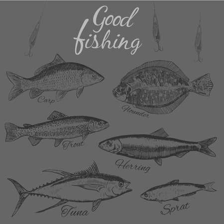 Good fishing.Hand drawn sketch fish. .Flat design modern vector illustration.のイラスト素材