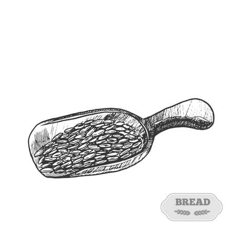 Wooden scoop wheat grains.Handwritten sketch. Vector illustration. Black ear, on isolated background. Gluten food ingredient engraving retro styleのイラスト素材