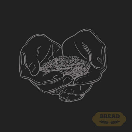 Wheat in the hands of man.Handwritten sketch. Vector illustration. Black ear, on isolated background. Gluten food ingredient engraving retro style.のイラスト素材