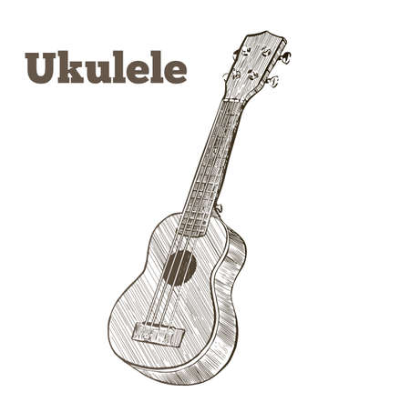Vector hand drawn illustration of ukulele. Engraving retro vintage style.のイラスト素材