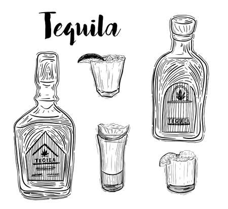 Tequila bottle, shot glass and ingredients, vector sketch. Mexican alcohol drinks menu design elements. Agave plant and root illustration.のイラスト素材