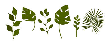 Collection of leaves. Set of vector design elements.のイラスト素材