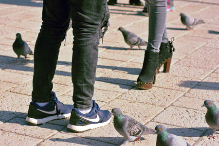 Sarajevo, Europe, 09.02.2018. View of man and woman legs standing on cobblestone with pigeons around themのeditorial素材