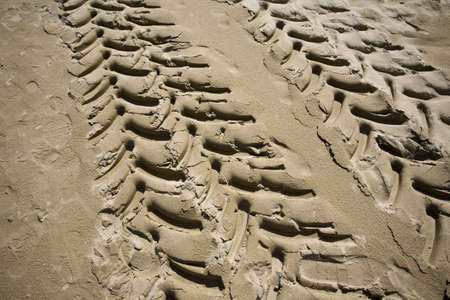 wheel imprints on the sand of the beachの写真素材