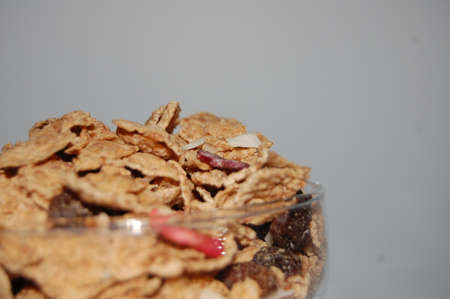 cornflakes for breakfast
