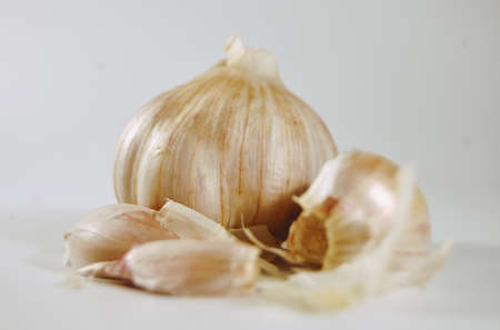garlic