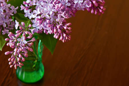 close-up purple lilac in green vaseの写真素材