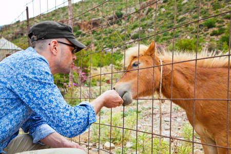 man feeding young beautiful pony through the fenceの写真素材