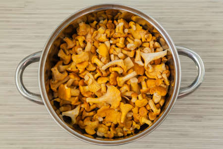 upper view of fresh raw chantarelles in a potの写真素材