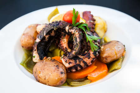 close-up grilled octopus tentacle served with stewed vegetablesの写真素材