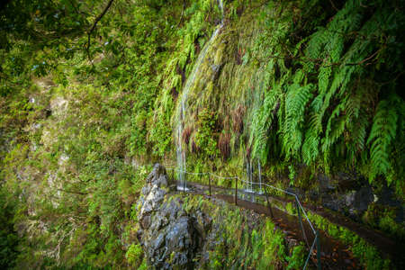 small waterfalls flowing down to levada Caldeirao Verde, Madeira, Portugalの写真素材