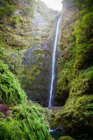 big waterfall in the end of Levada Caldeirao Verde, Madeira, Portugalの写真素材