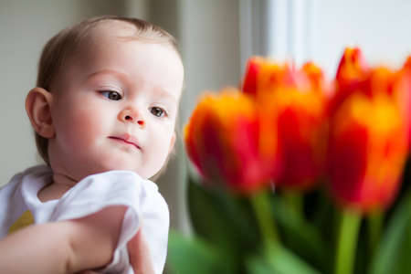 portrait of a small baby girl looking at the red tulipsの写真素材