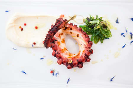 upper view of grilled octopus tentacle served with sauce and seaweed