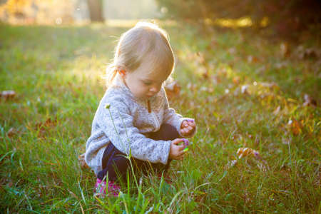 little baby girl picking a flower in the autumn park
