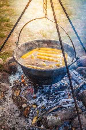 Cooking camping pot with corncobs in a boiling water over campfire. Outdoor fireplace camping concept. Traditional dinner meal preparation in nature cooking over wood fire.の写真素材