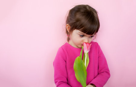 Cute little girl in pink dress sniffing pink tulip on a pink backgroundの写真素材