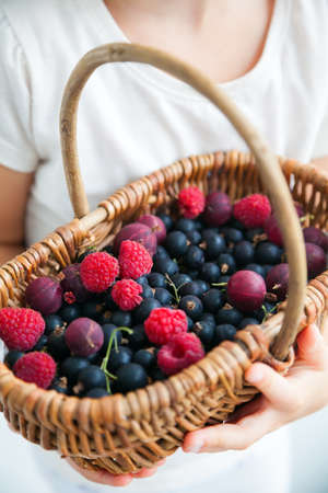 Basket with different homemade summer berries in the hands of a childの写真素材