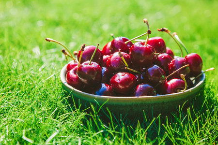 Close-up bowl with fresh tasty cherry standing on a grass