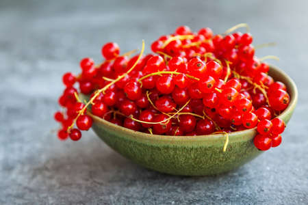 Close-up fresh and ripe red currant in a bowl on a gray concrete backgroundの写真素材