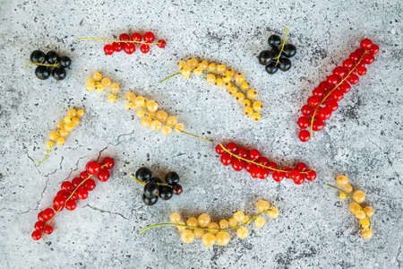 Red, black and white currant on a concrete backgroundの写真素材