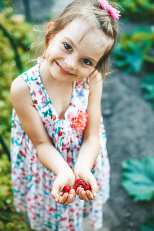Smiling cute little girl holding organic small strawberries in her palmsの写真素材