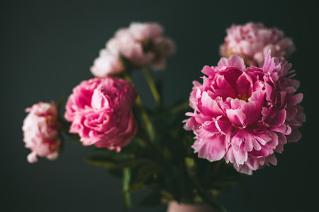Close-up beautiful bouquet of pink peonies flowers on a black backgroundの写真素材