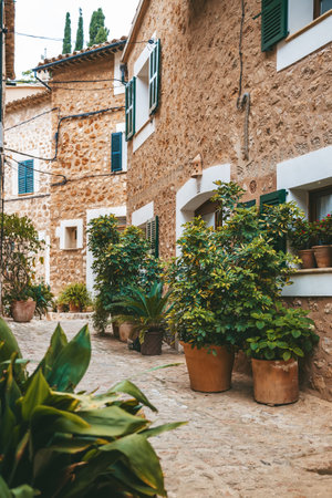 Small street with lots of plants in pots in the small village Fornalutx in Mallorca, Spainの写真素材