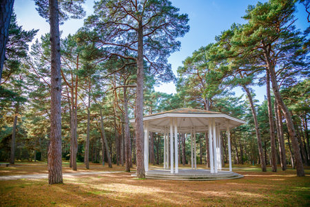 The white rotunda with its classical columns stands out amidst the tall pine trees in Birute Park, Palanga, Lithuaniaの写真素材