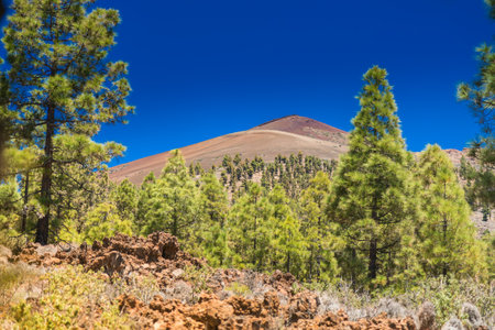A landscape scene of Mount Teide in Tenerife. Concept: travel, nature exploration, and educational content about volcanic landscapes.の写真素材