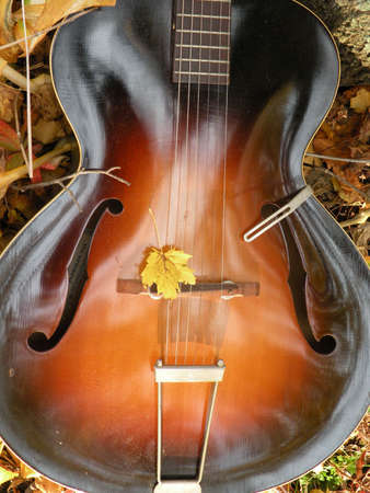 Vintage Epiphone の写真素材