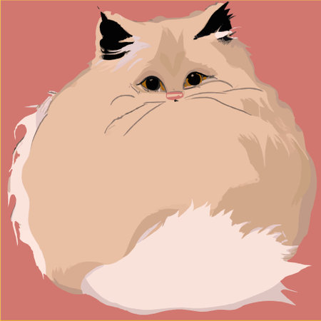 vector drawing of a fluffy pink cat, round like a ball of wool.のイラスト素材