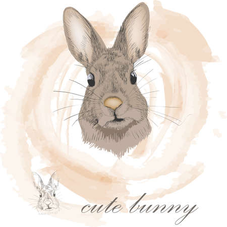 Cute colored Bunny and Bunny in lines.のイラスト素材
