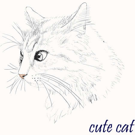 Illustration of Cat Isolated on Backgroundのイラスト素材