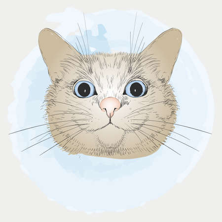 Illustration of a smiling and cute cat on a white background