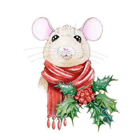 Watercolor illustration of a funny mouse (rat) in a nice winter red warm scarf with with holly leaves. A chinese new year symbol of 2020. Perfect for greeting cards and prints.の写真素材