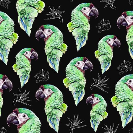 Hand drawn seamless pattern with tropical birds and exotic flowers on the black background. Watercolor green parrots mixed with white graphic images of tropical blossoms.の写真素材