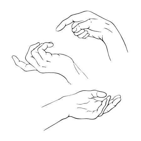 Realistic graphic hands illustration set. Pointing and holding posed human hands. Elegant  black line poising arms collection. Isolated on white background.の写真素材