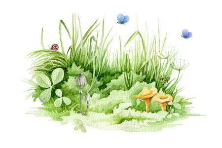 Easter green grass with cute mushrooms and butterflies close up watercolor illustration. Lush spring grass - meadow element. Background with clover, fresh herbs and natural plants.の写真素材