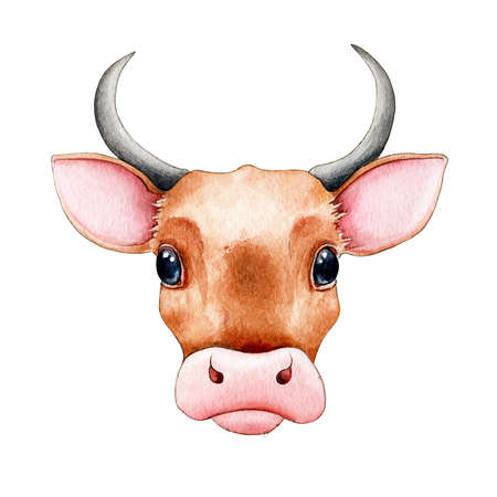 Cute cartoon bull (cow) watercolor illustration. Hand drawn funny zodiac symbol of 2021new year. Cartoon bull or ox portrait element. Happy farm animal new year mascot isolated on white background.の写真素材