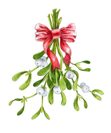 Mistletoe bunch with white berries and red ribbon watercolor illustration. Traditional seasonal christmas and new year evergreen plant hand painted, isolated on white backgroundの写真素材