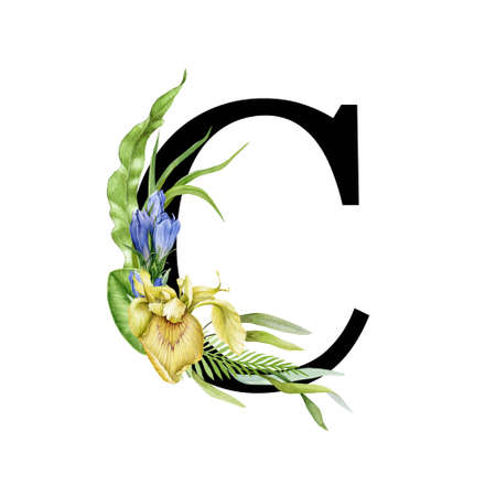 Floral spring alphabet. Flower letter. Capital letter C element with spring garden flower branch bouquets composition. Wedding invitations, baby shower, birthday, other ideas. On white backgroundの写真素材